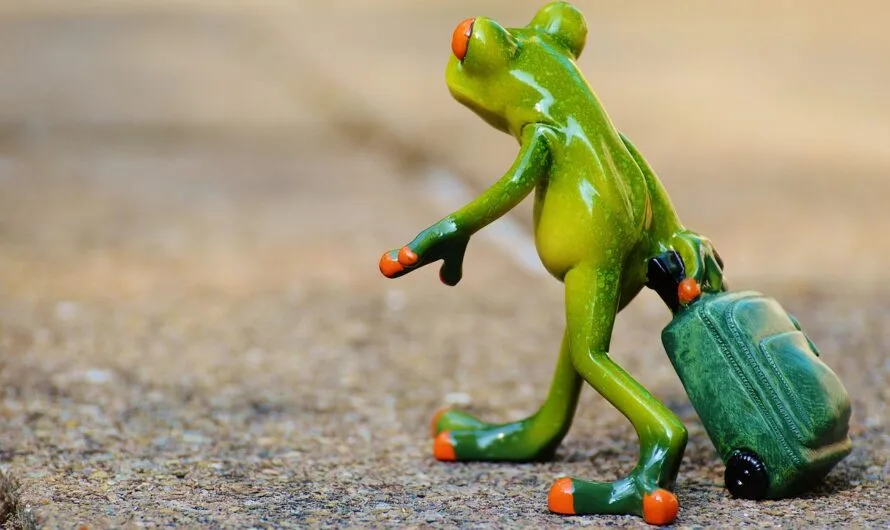 How Technology and Tourism Are Merging